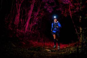 BIB: 
                            <button type="button" onclick="openModal(7014745)" class="btn btn-primary btn-sm float-right btn-popup" data-toggle="modal" data-target=".modal-high-quality">
                        <i class="fas fa-shopping-cart"></i> Add to Cart
                    </button>
                                            <button type="button" onclick="isThisMe(7014745, true)" class="btn btn-success btn-sm float-right btn-popup btn-isme hidden" data-toggle="tooltip" data-placement="bottom" title="นี่คือรูปของคุณใช่ไหม คลิกที่นี่เพื่อเอาเข้าอัลบั้ม">
                        <i class="fas fa-plus"></i> Add to album
                    </button>
                    <button type="button" onclick="isThisMe(7014745, false)" class="btn btn-warning btn-sm float-right btn-popup btn-isnotme hidden">
                        <i class="fas fa-ban"></i> Remove from album
                    </button>